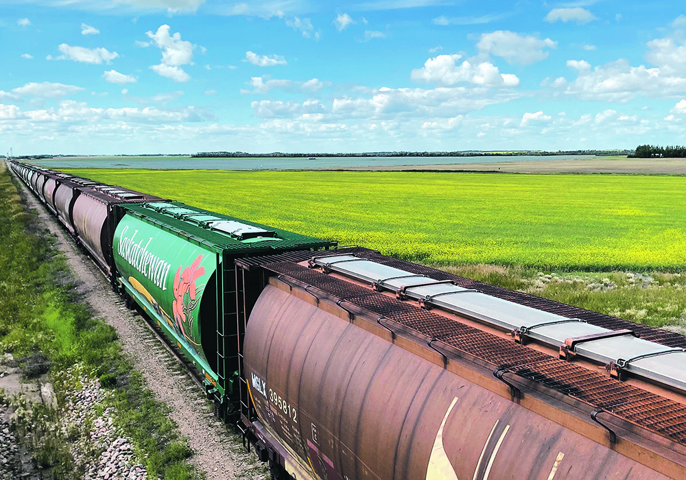 "The agriculture sector has already endured numerous labour disruptions in recent years… It is imperative that we explore long-term solutions to reduce the risk of future labour disruptions and ensure the stability of our supply chains," wrote Robinson and Black in a letter dated Aug. 20. | File photo