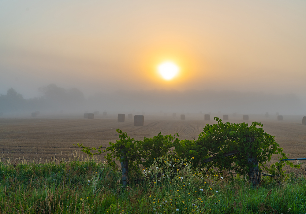 Humidity is the amount of water vapour in the air. The warmer the air, the greater the distance between air molecules and therefore the greater the holding capacity of air for water vapour. Warm air has the capacity to hold much more water than cold air. | Getty Images