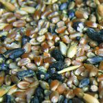 Ergot infection is heavily dependent on environmental factors, especially during the pollination window. | File photo