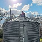 Technician Elaine Martineau places insect traps in a grain bin. | Vincent Hervet photo