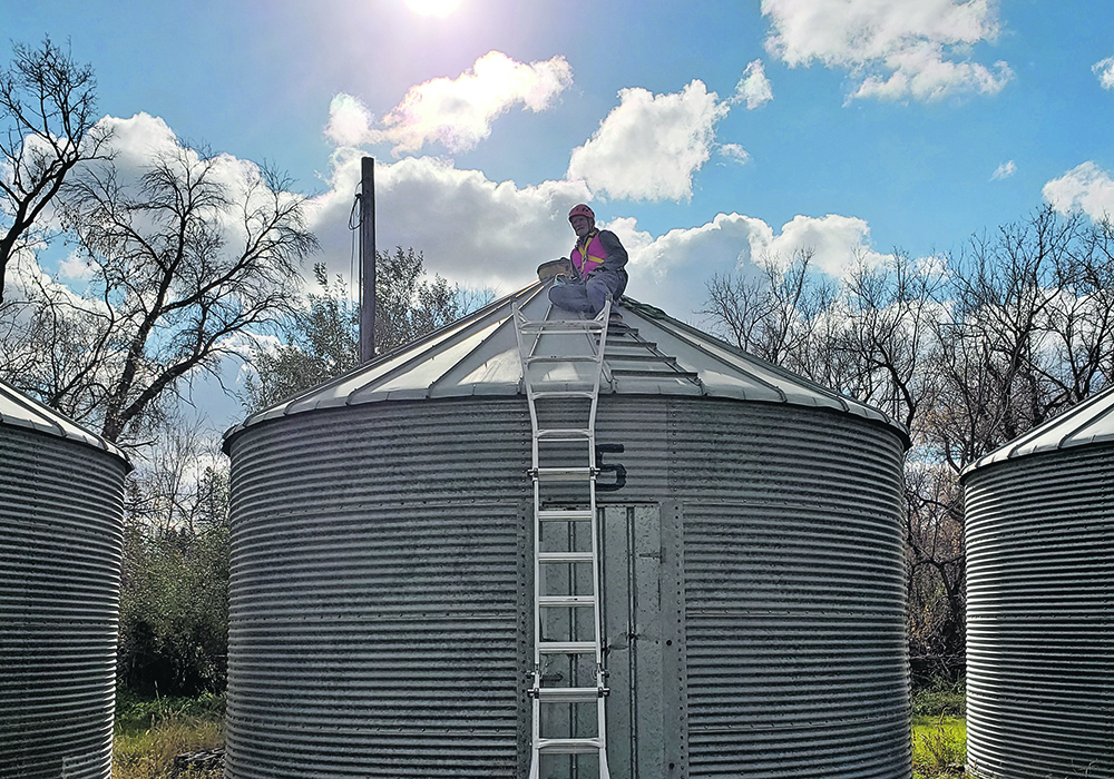 Technician Elaine Martineau places insect traps in a grain bin.  |  Vincent Hervet photo