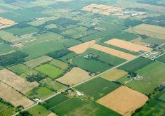 “Patchwork approaches and fragmented incentives won’t deliver the economic growth and support that Canada’s grain farmers and rural communities need,” Grain Growers of Canada said in a news release. | File photo