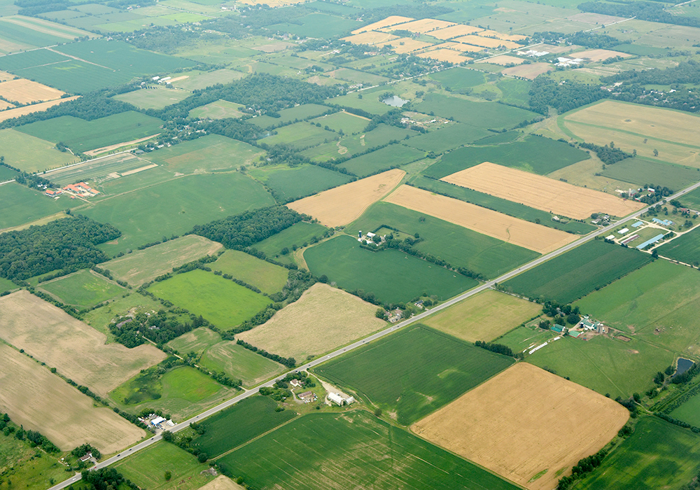 “Patchwork approaches and fragmented incentives won’t deliver the economic growth and support that Canada’s grain farmers and rural communities need,” Grain Growers of Canada said in a news release. | File photo