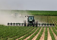 The U.S. Department of Agriculture estimates U.S. soybean production will reach a record 124.9 million tonnes in 2024-25. That has pushed prices 18 percent below the average estimated cost of production in that country. | File photo