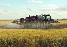 Mexico’s government delayed a planned ban on glyphosate in April, which could have led to a trade dispute over the safety of the herbicide. The close call illustrates why countries need to co-operate on maximum residue limits for pesticides.  |  File photo