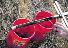 Starting next year, Assiniboine Community College in Brandon will deliver training to certified crop advisers in Manitoba and Saskatchewan about soil health and conservation agriculture.  |  File photo