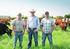 Lorin, Daniel and Barry Doerksen are Alberta’s Outstanding Young Farmers for 2024. The brothers have a mixed cropping and cattle operation near Gem and also direct market their grass-fed beef.  |  Supplied photo