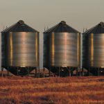 Twenty-seven people died from asphyxiation from grain or soil on Canadian farms from 2011-20. | File photo