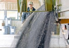 MarketsFarm analyst Mike Jubinville wonders where the Asian giant will get the canola it needs to fuel its vast crush sector. | File photo