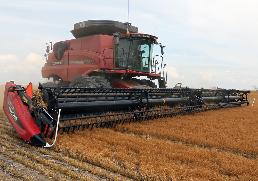 Statistics Canada is estimating Canadian farmers will harvest 2.5 million tonnes of lentils, up from 1.67 million tonnes last year. One analyst thinks it will be 100,000 to 150,000 tonnes smaller than that with the entire reduction coming from red lentils. | File photo