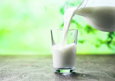 Fluid milk per capita consumption has declined, but because of population increase the total amount of milk consumed fell less than it would have if the population was static.  |  Getty Images