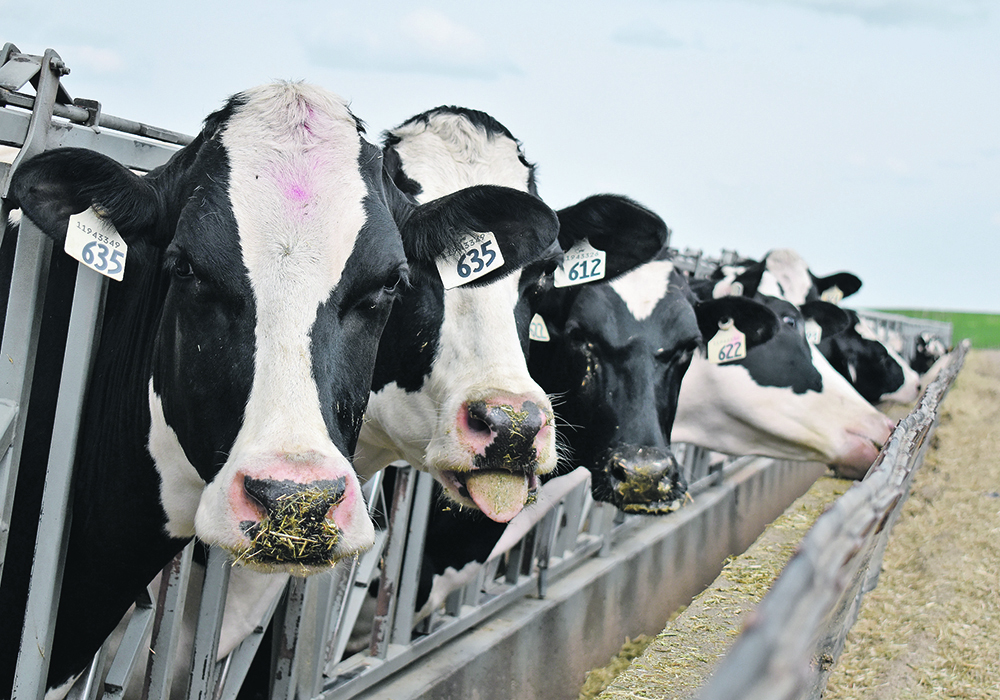 More than 190 herds have been infected across the U.S. since March, along with 13 dairy and poultry farm workers, according to federal data. | File photo