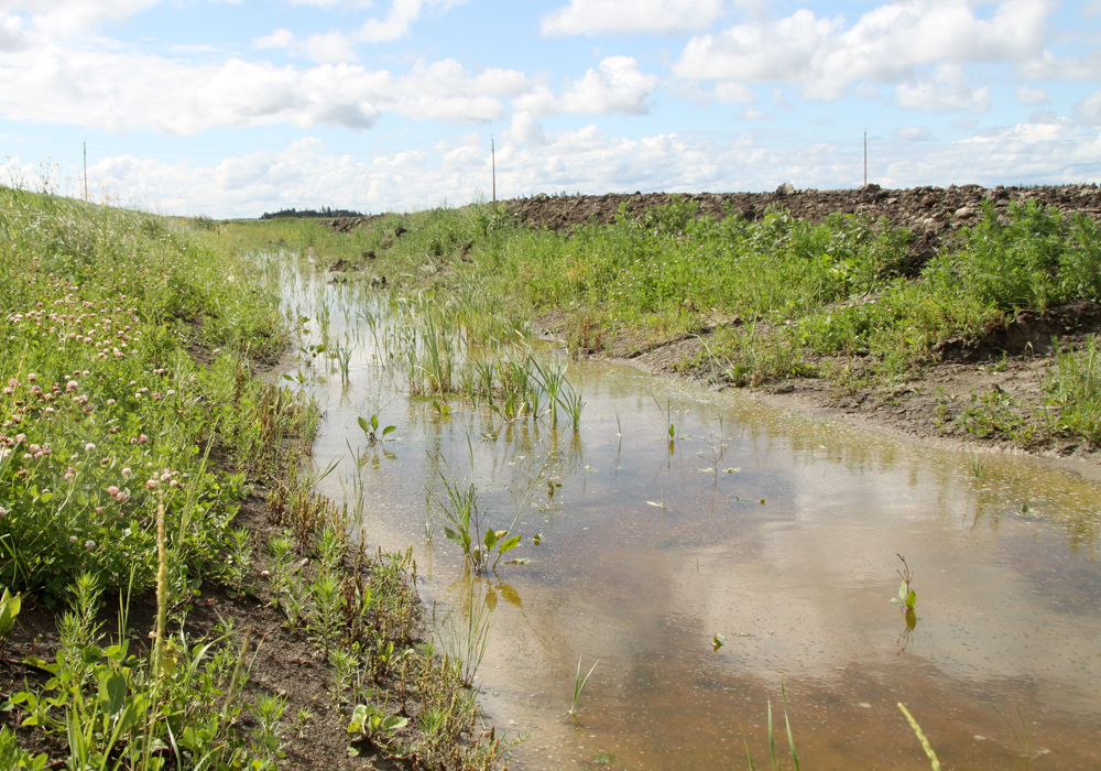 Saskatchewan Farm Stewardship Associatio president Myles Thorpe said sustainable crop production and soil health depend on proper drainage. The Saskatchewan Drainage Extension Network is to share and build knowledge of innovative and responsible water management practices, according to the press release. | File photo