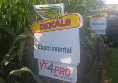 VT4PRO includes RNAi-based traits at the Bt protein, and incorporates both above- and below-ground traits to control pests. It delivers the latest in corn rootworm defense below the soil, and adds comprehensive above-ground control. | Gord Gilmour photo