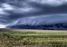 As the types and severity of risks grow, it is important to educate ourselves with different options available to mitigate them. | Screencap via x.com/@MBstormchasers