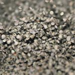 Research at North Dakota State University found cereals such as wheat, barley and oats are pretty tolerant of even repeated handling, but corn was less so. Soy was the most vulnerable, as are pulse crops. | File photo