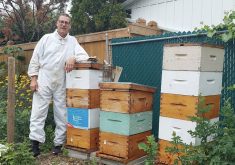 Gordon Janzen is spearheading a community growing project to fundraise for hunger relief and is inviting other beekeepers to join him. | Canadian Foodgrains Bank photo