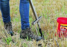A soil testing company says half the samples processed from North Dakota and Manitoba are feeding into precision systems.  |  File photo