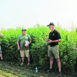 Jeff Kostuik of Verve Seeds, left, and Clarence Shwaluk of Manitoba Harvest speak at a southwestern Manitoba field day near Melita in July. | Gord Leathers photo