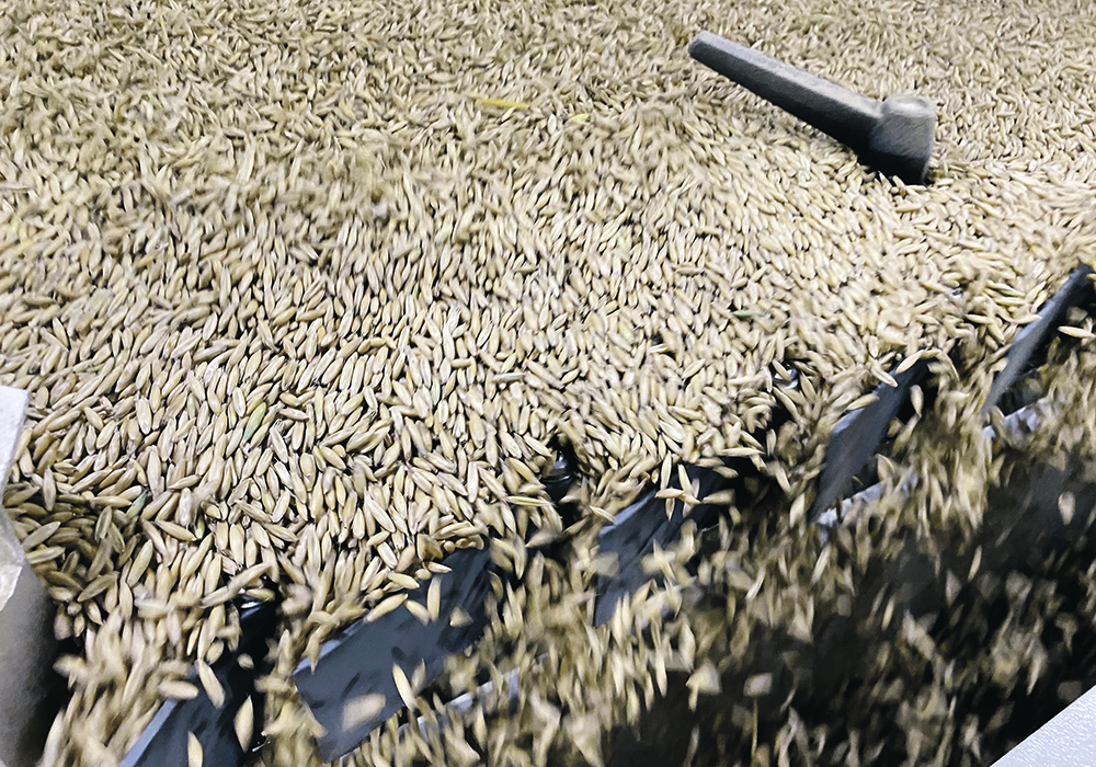 Farm Credit Canada says productivity in oilseed and grain milling jumped significantly in the last 20 years because companies invested millions to construct large-scale canola crushing and oat milling plants on the Prairies.  |  File photo
