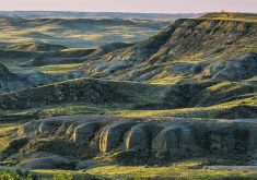 The badlands in Grasslands National Park’s East Block provide spectacularly wild vistas. | Robin &amp; Arlene Karpan photo