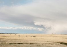 The Canadian Crop Hail Association reported Sept. 6 that more than one million acres were damaged by hail and strong winds between Aug. 19 and 25. | File photo