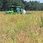 The author writes that the agricultural sector needs land tenure for future farmers committed to healthy food from healthy ecosystems. | File photo