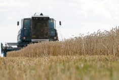 Farmers in the war-torn country managed to harvest 21.9 million tonnes of wheat and 5.48 million tonnes of barley, according to the Ukrainian Grain Association’s latest estimate. | Reuters photo