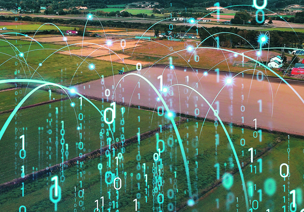 Funding for ag tech and food technology firms hit a peak of US$53 billion in 2021, then dropped to $31 billion in 2022 and sank to $16 billion in 2023. | Getty Images