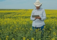 Access to capital is the cornerstone of a thriving farm, whether producers are looking to maintain cash flow, upgrade equipment or plan an expansion. | Getty Images