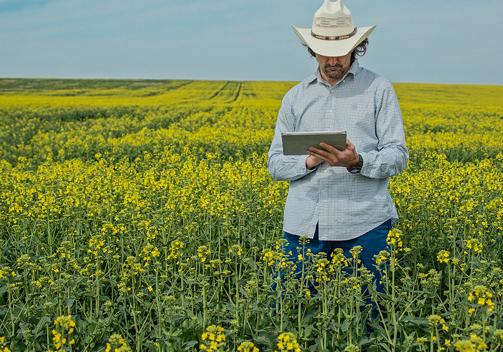 Access to capital is the cornerstone of a thriving farm, whether producers are looking to maintain cash flow, upgrade equipment or plan an expansion. | Getty Images