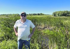 Lane Mountney stands near the adequate outlet of a planned 28-quarter drainage project in the Rural Municipality of Wawken in southeastern Saskatchewan. He opposes the project, but his land has been designated as the adequate outlet. |  Karen Briere photo