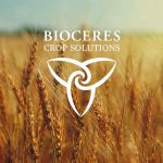 Bioceres says it will take at least two years for the firm to start marketing its genetically modified wheat variety HB4 to buyers in the United States, following last month's U.S. government approval. | Screencap via YouTube/Bioceres Crop Solutions