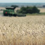 Perhaps some worldwide event or events will change the outlook for grain prices. That has happened before, but as of mid-September, prices are a lot softer than anyone anticipated. | File photo