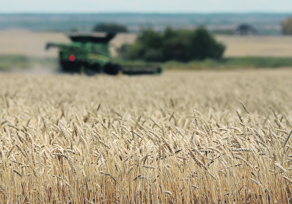 Perhaps some worldwide event or events will change the outlook for grain prices. That has happened before, but as of mid-September, prices are a lot softer than anyone anticipated. | File photo