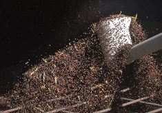 The regulation will ban the import of products linked to the destruction of the world's forests, including soybeans and palm oil. The expectation is that will result in increased canola imports to help fill the oilseed void. However, the regulation is facing significant resistance as it nears the Dec. 30 implementation date. | File photo