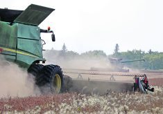 The author writes that 2024 may be the most devastating yet for producers.  |  File photo