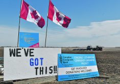 Canadian Foodgrains Bank growing projects, such as this one in southwestern Alberta in 2020, raise money to help feed the world’s hungry. The foodgrains bank questions whether global food security is improving as dramatically as the U.S. Department of Agriculture is forecasting.  |  File photo