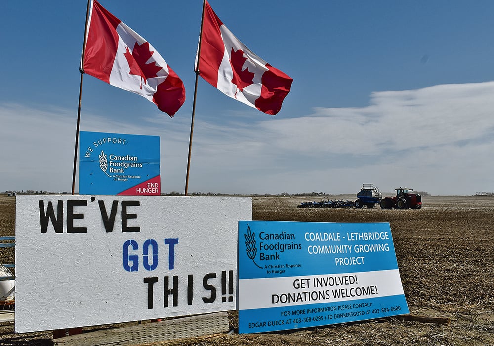 Canadian Foodgrains Bank growing projects, such as this one in southwestern Alberta in 2020, raise money to help feed the world’s hungry. The foodgrains bank questions whether global food security is improving as dramatically as the U.S. Department of Agriculture is forecasting.  |  File photo