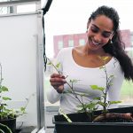 The first students to participate in the University of Guelph’s agricultural internship program will come from the agricultural economics, animal science and plant science programs. | University of Guelph photo