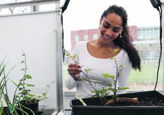 The first students to participate in the University of Guelph’s agricultural internship program will come from the agricultural economics, animal science and plant science programs.  |  University of Guelph photo