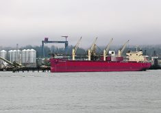 The Grain Workers Union and the Vancouver Terminal Elevators' Association have reached a tentative agreement to get Canada's harvest to market, Labour Minister Steven MacKinnon posted on X on Friday.  |  File photo