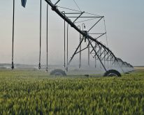 An economic assessment of the Westside Irrigation Project in central Saskatchewan said the $1.15 billion project will generate 30,000 person years of employment and 9,500 construction jobs while adding 90,000 acres of irrigation. Tax revenue to governments is conservatively projected at $770 million with value added processing.  |  File photo