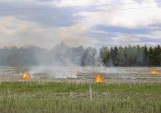 It’s become clear, to some experts, that applying herbicides and more herbicides isn’t the answer. Growers need to deploy other tactics on herbicide resistant weeds. Burning them is  cheap and it appears to work, but it will be tough to do in Canada says one researcher. | Getty Images