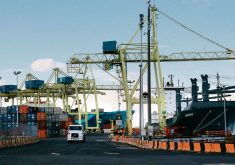 The partial strike hit the Viau and Maisonneuve terminals, which account for about 40 percent of the port's container traffic. | File photo