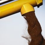 Markets Farm analyst Bruce Burnett says other factors are weighing more heavily on canola prices, including the recent rally in palm oil prices, with nearby futures setting two-year highs due to tight supplies of the commodity. | File photo