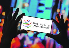 A former lead agricultural trade negotiator with the U.S. Trade Representative doesn’t hold out much hope that the World Trade Organization’s dispute settlement mechanism will be fixed any time soon.  |  Reuters photo