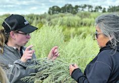 Kate Fraser, left, director of capacity development with the National Circle for Indigenous Agriculture and Food, speaks with an Indigenous producer.  |  National Circle for Indigenous Agriculture and Food photo