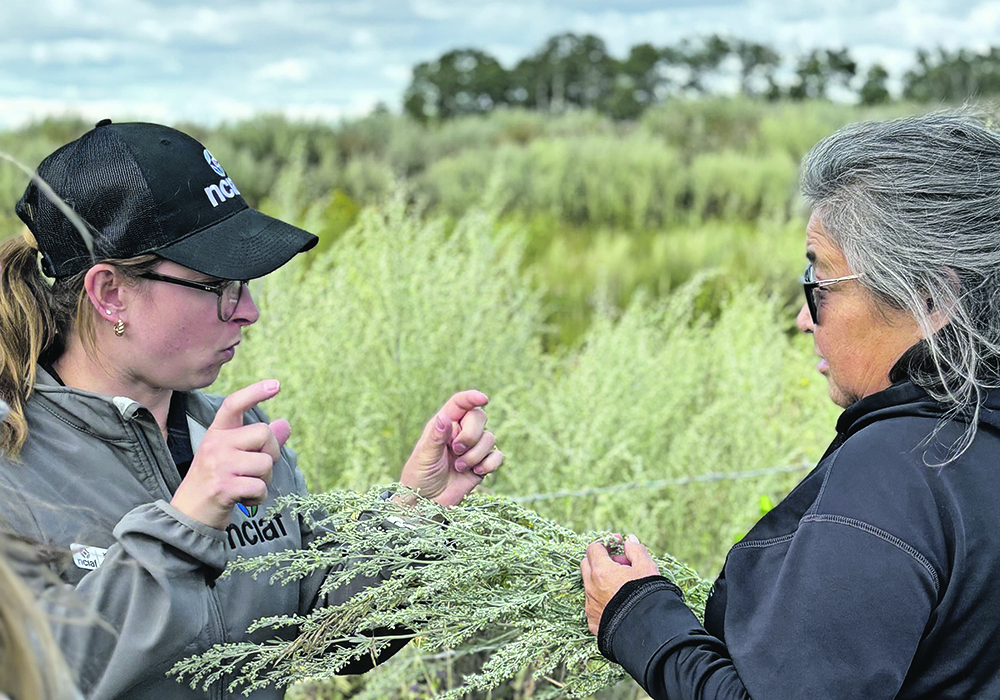 Kate Fraser, left, director of capacity development with the National Circle for Indigenous Agriculture and Food, speaks with an Indigenous producer.  |  National Circle for Indigenous Agriculture and Food photo