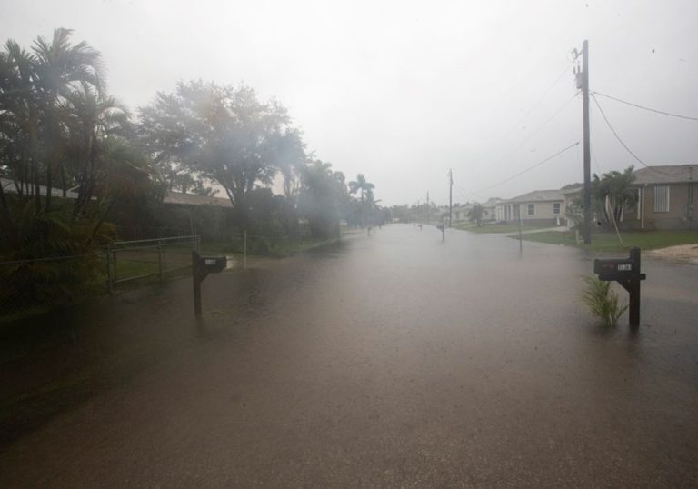 Hurricane unlikely to fuel longterm fertilizer price increase, analyst